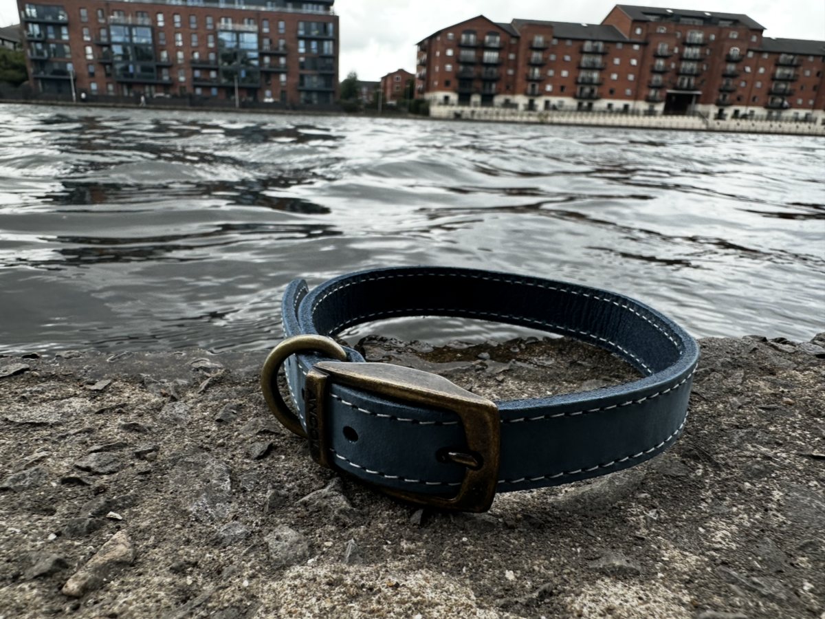 An Ancol Timberwolf dog collar in deep navy blue leather with cream stitching and an antique brass buckle and D-ring, resting on stone beside the water.