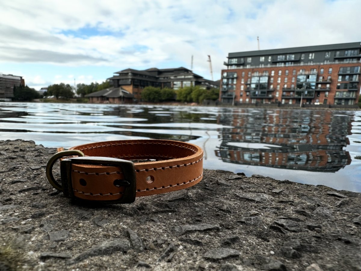 An Ancol Timberwolf dog collar in tan leather with cream stitching and an antique brass buckle and D-ring, resting on stone beside the water.